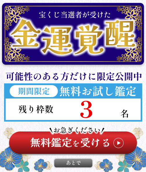 �����������p�ŋ��^�o��